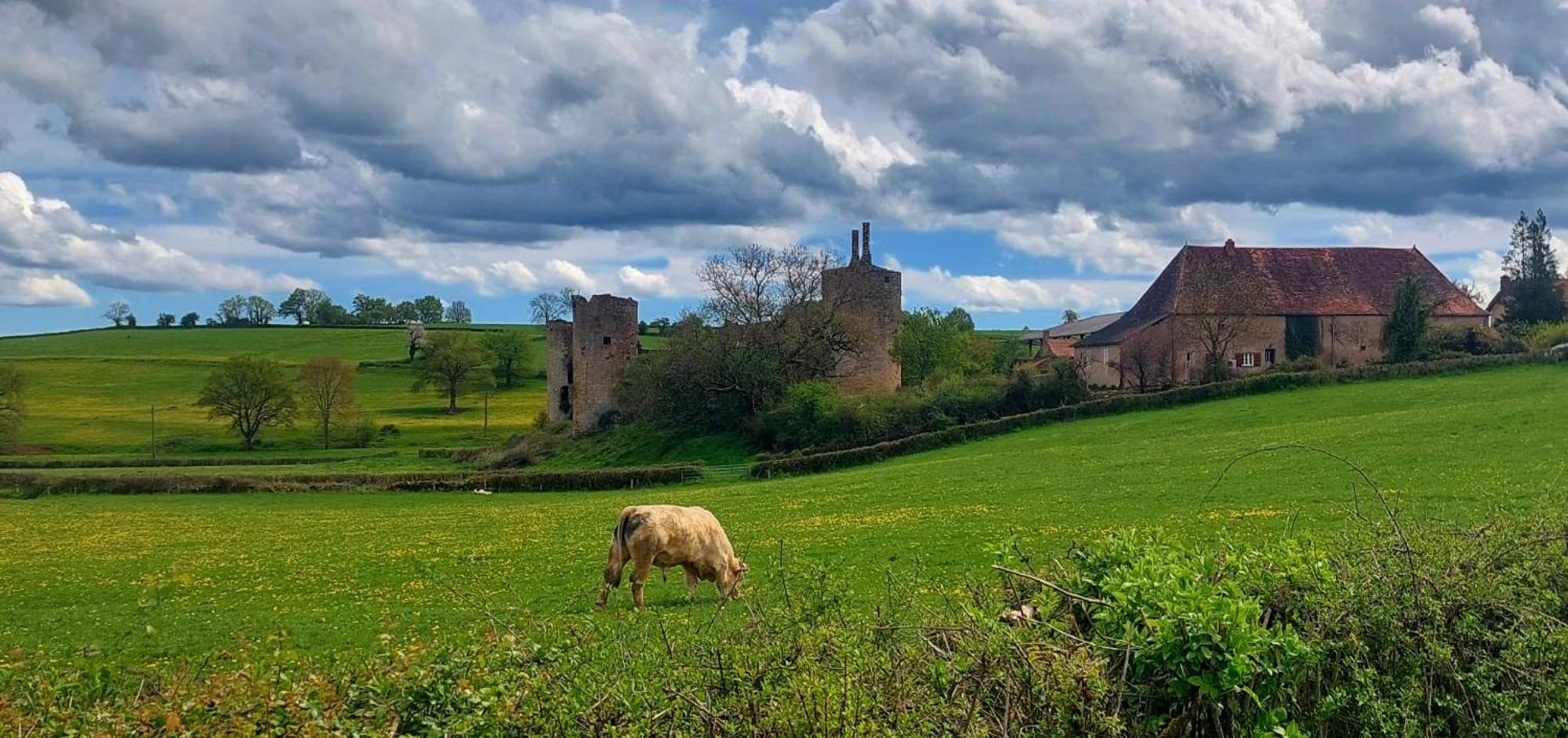 Maison Du Grand Moulin Saint-Aubin-en-Charollais Екстериор снимка
