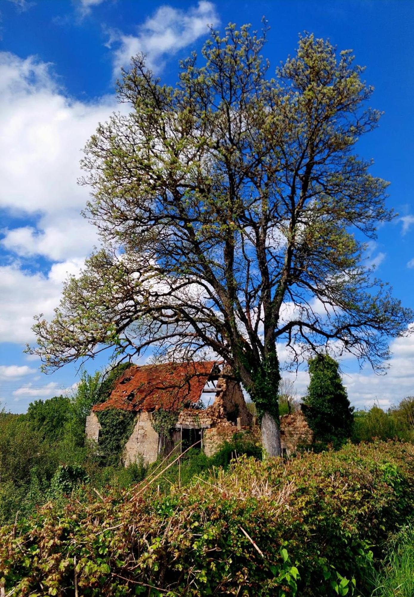 Maison Du Grand Moulin Saint-Aubin-en-Charollais Екстериор снимка